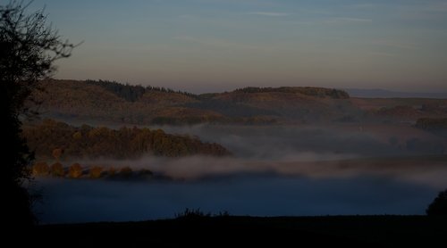 landscape  fog  nature