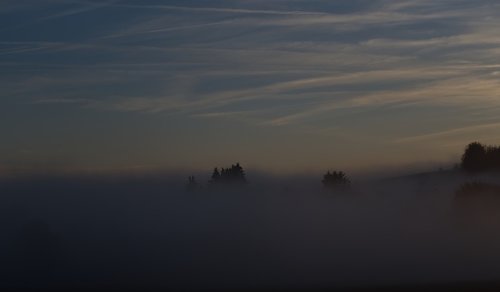 landscape  fog  nature