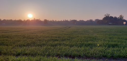 landscape  east  field