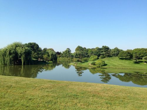 landscape lake summer