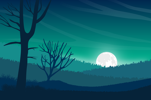 landscape  moon  night