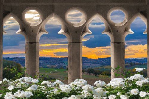 landscape  flowers  nature