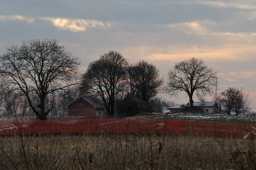 landscape  autumn  trees