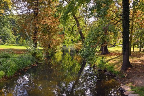 landscape  nature  trees