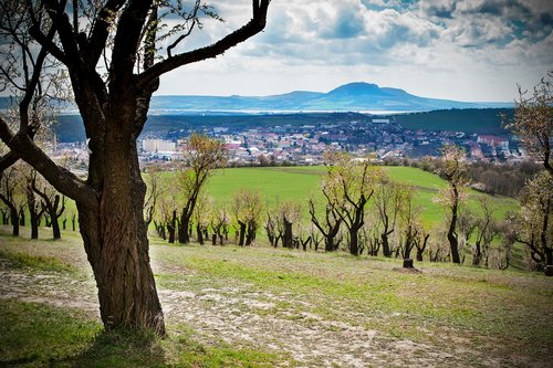 landscape  pálava  spring