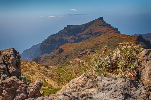 landscape  nature  tenerife