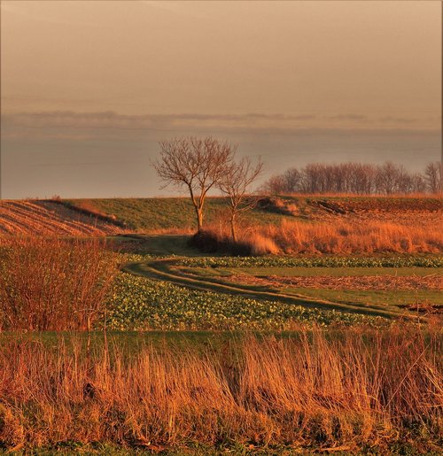 landscape  sunset  day over