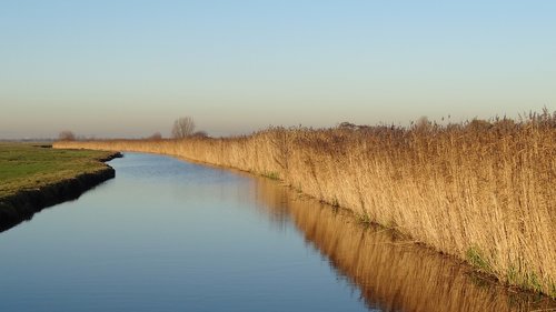 landscape  nature reserve  water