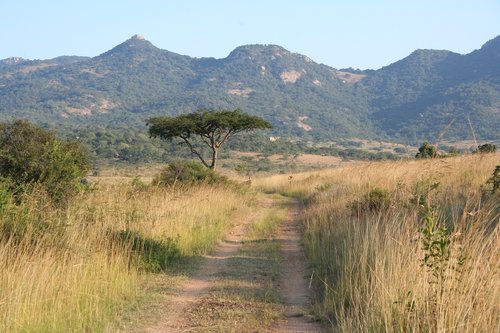 landscape  scenic  africa