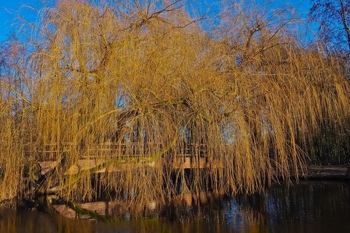 landscape  channel  nature