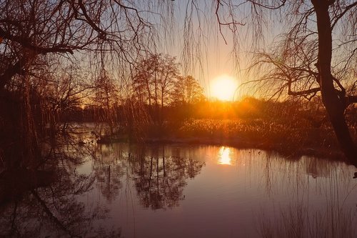 landscape  lake  nature