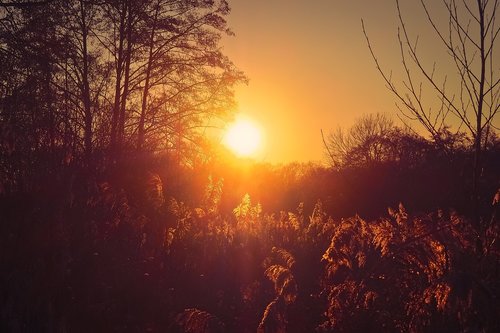 landscape  lake  nature