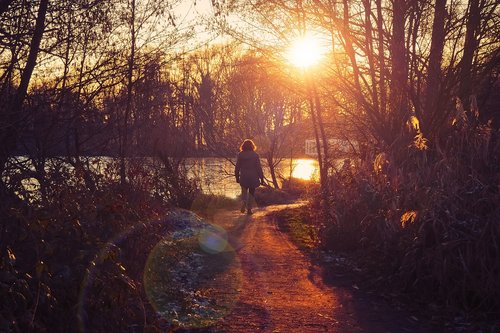 landscape  lake  nature