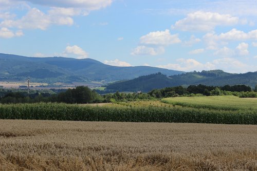 landscape  field  heaven