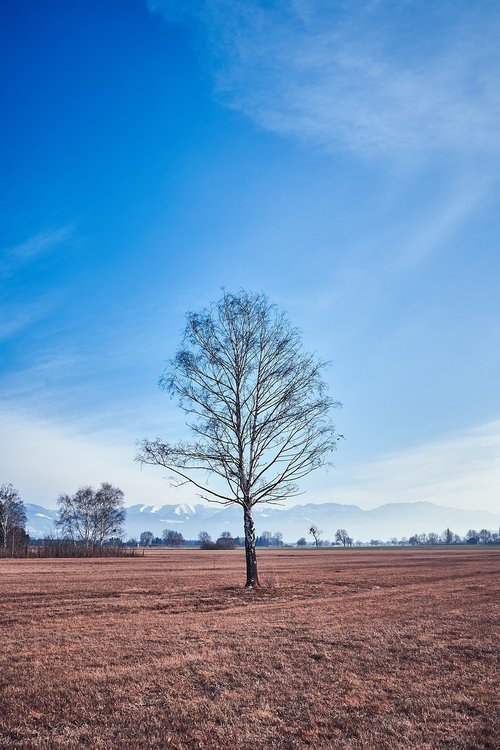 landscape  nature  rural