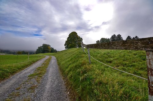 landscape  meadow  rural