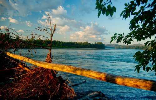 landscape  katun river  nature
