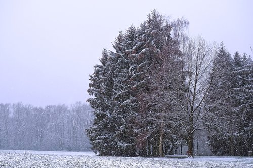 landscape  winter  snow