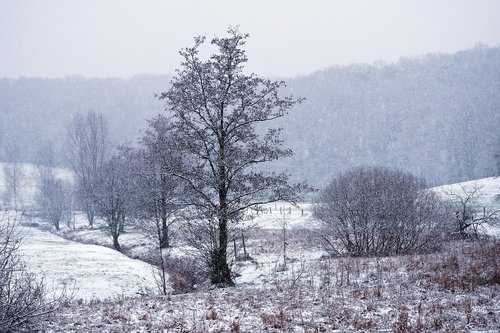 landscape  winter  snow