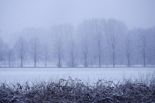 landscape  winter  snow