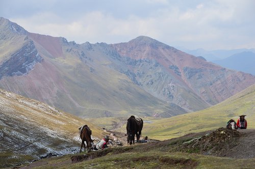 landscape  horses  mountains