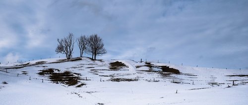 landscape  snow landscape  snow melt