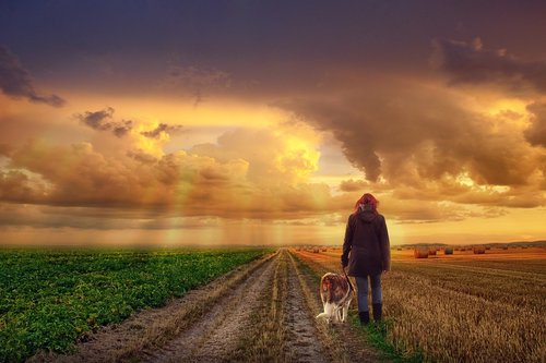 landscape  sunset  sky