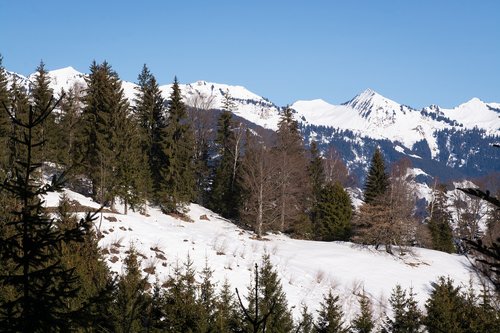 landscape  winter  nature