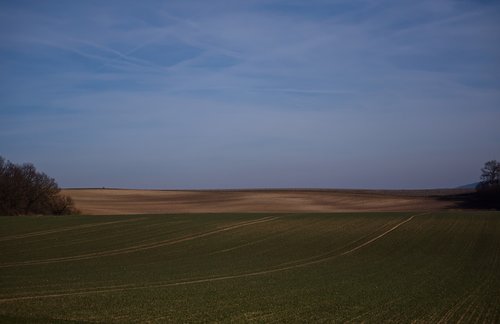 landscape  field  sky