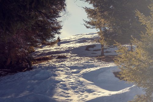 landscape  snow  nature