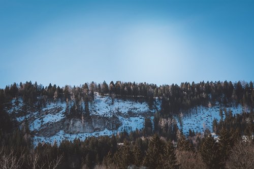 landscape  snow  winter