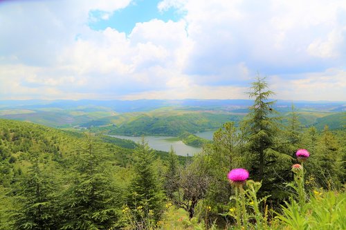 landscape  nature  lake