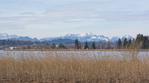 landscape  upper bavaria  chiemsee