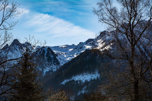 landscape  winter  nature