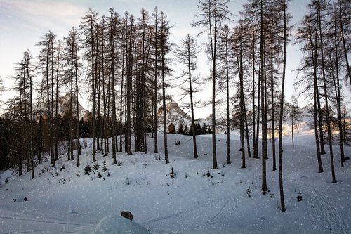 landscape  winter  snow