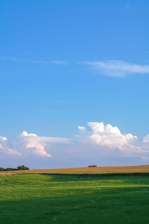 landscape  meadow  field