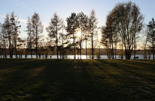 landscape  sunset  tree