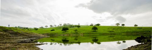 landscape green weir