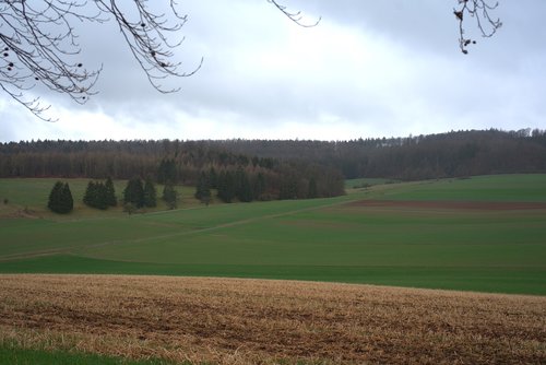 landscape  field  meadow