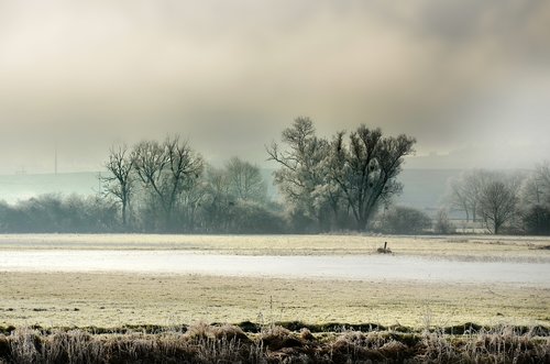 landscape  field  fog