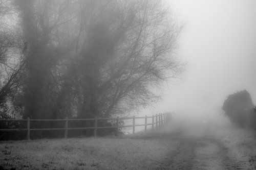 landscape  mist  fog