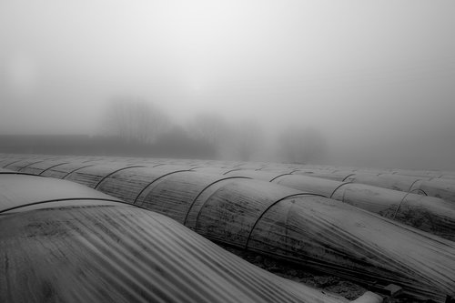 landscape  mist  fog