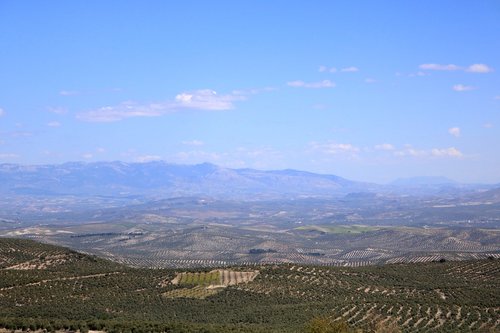 landscape  baeza  valley of the guadalquivir