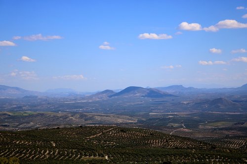 landscape  baeza  valley of the guadalquivir