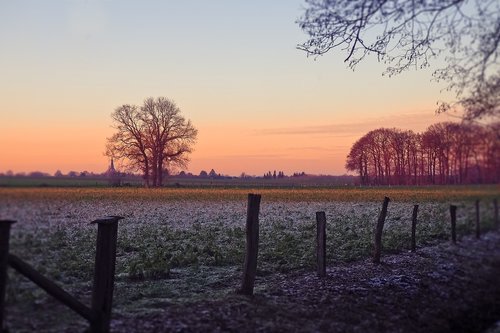 landscape  field  nature