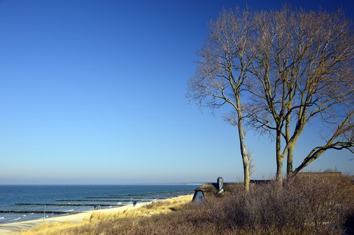 landscape  beach  sea