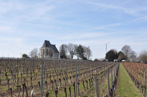 landscape  vineyards  church