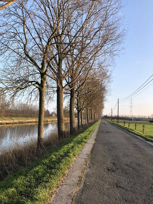 landscape  nature  road