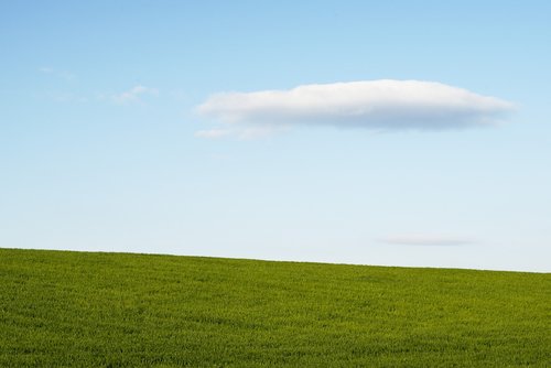 landscape  nature  grass