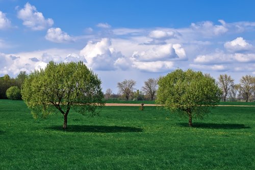 landscape  auen  nature